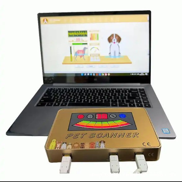 JYTOP Quantum Magnetic Resonance Analyzer Japanese Pet Quantum