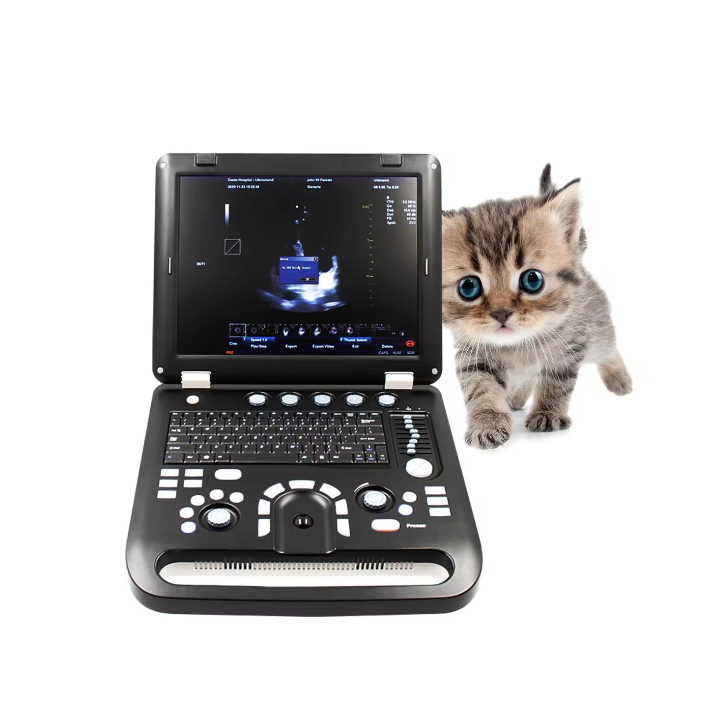 CMS1700C-VET Veterinary Instrument Cheapest Portable Veterinary Ultrasound Machine