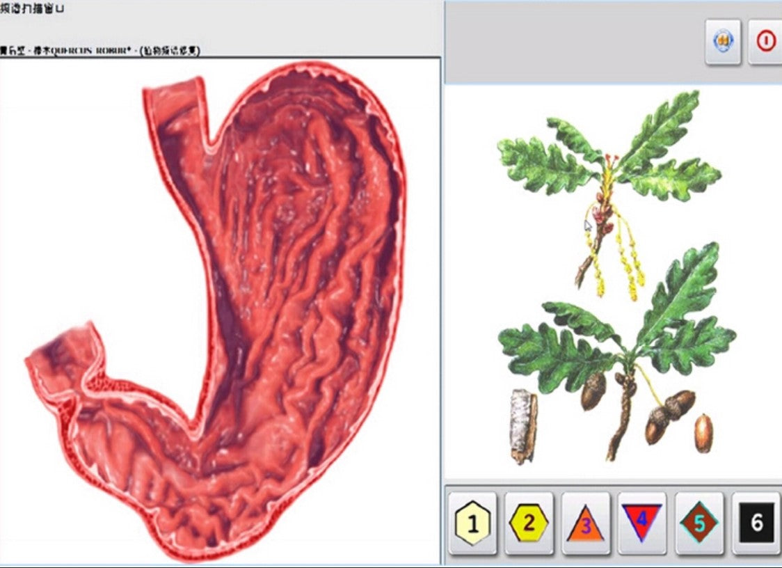 JYTOP New Bio Resonance system Hunter 18D 4025 NLS with Computer