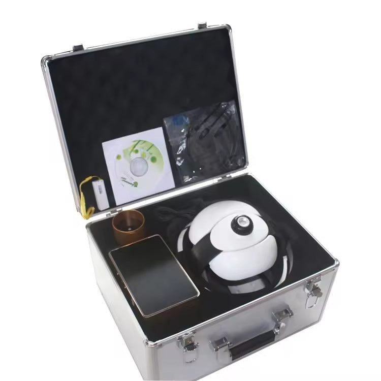 English 5.98 NLS 32D Iris Synapse AURA Chakra Body Health