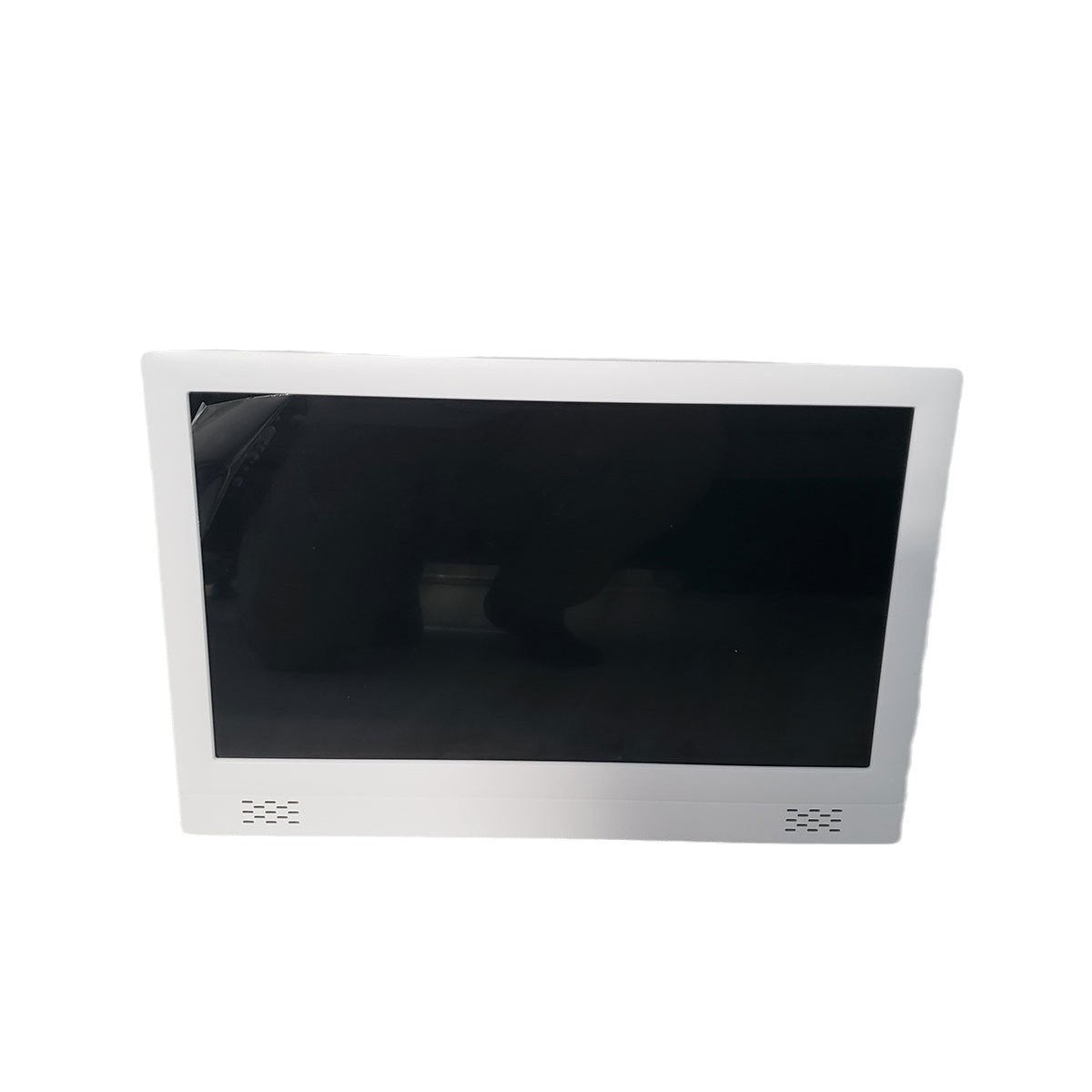 Bioplasm 9D NLS Health Analyzer English German French Italia