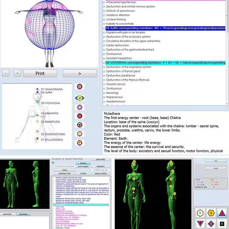 English 5.98 NLS 32D Iris Synapse AURA Chakra Body Health