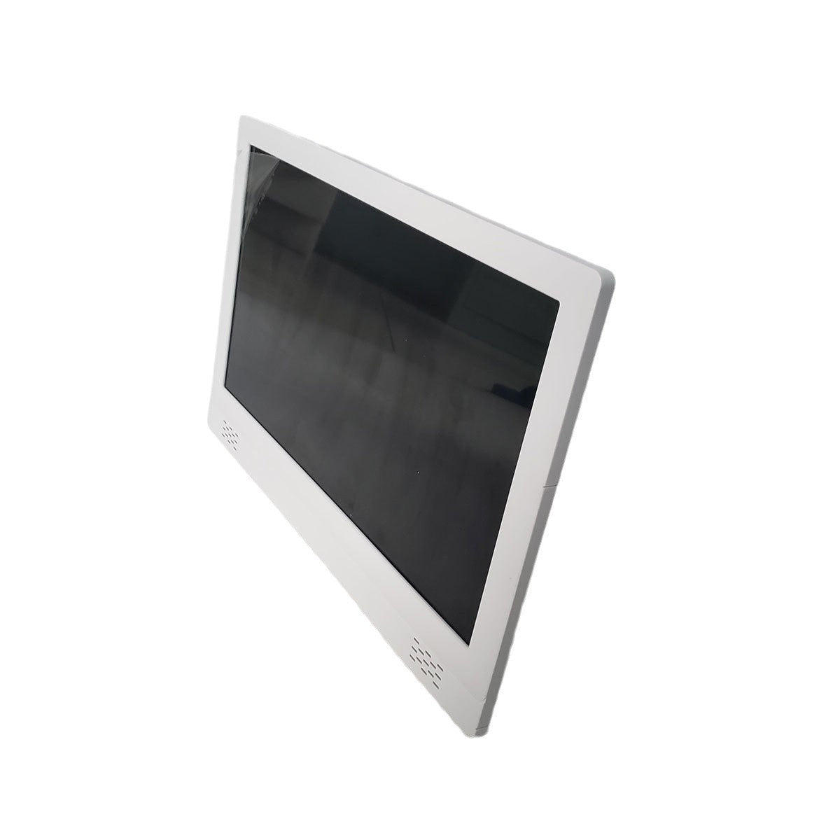 Bioplasm 9D NLS Health Analyzer English German French Italia