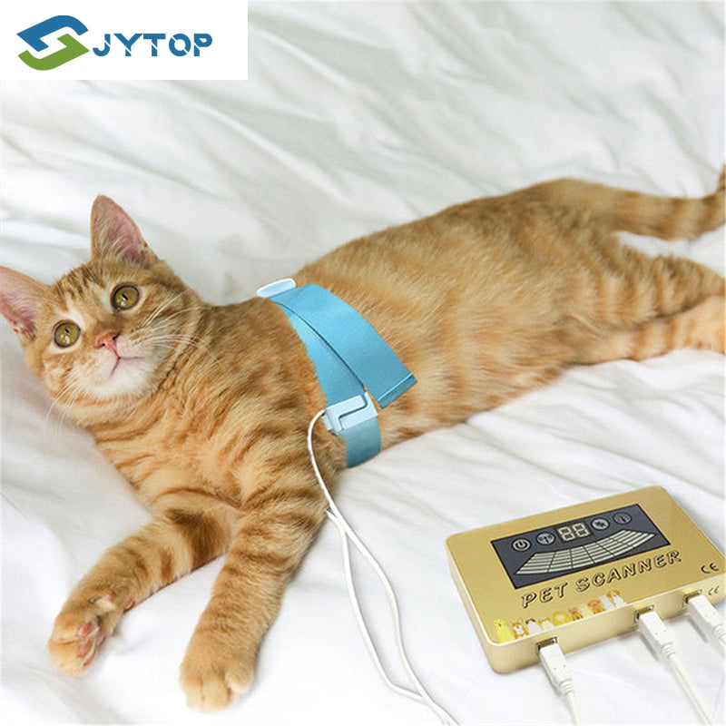 2020 JYTOP Newest PET Quantum Resonance Magnetic Body Health Therapy Analyzer for Animal