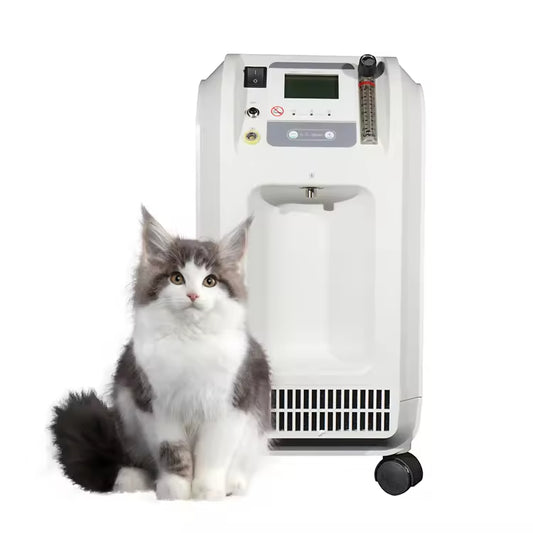 7L 3L 5L 10L Manufacture Veterinary Oxygen Concentrator Veterinary Oxygen Generator