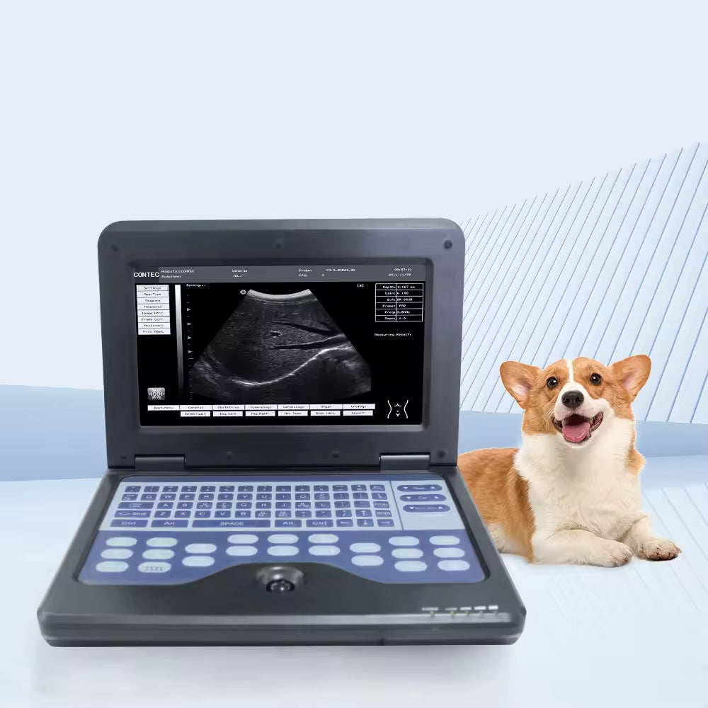 CMS600P2 VET Veterinary Equipment Digital Notebook Ultrasound Scanner for Veterinary