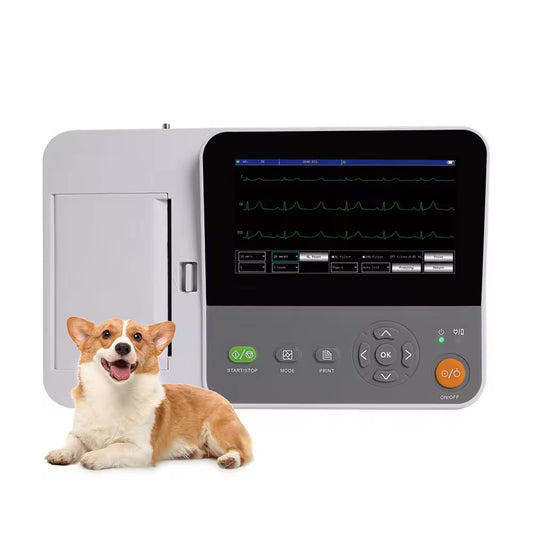 E6 VET Veterinary ECG Machine Price Six Channel 12 Leads Animals Vet ECG Monitor