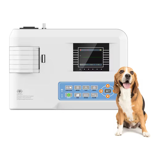 ECG100G-VET Ekg Ecg Machines Electrocardiograph Veterinary 3 Channel Portable Electrocardiogram