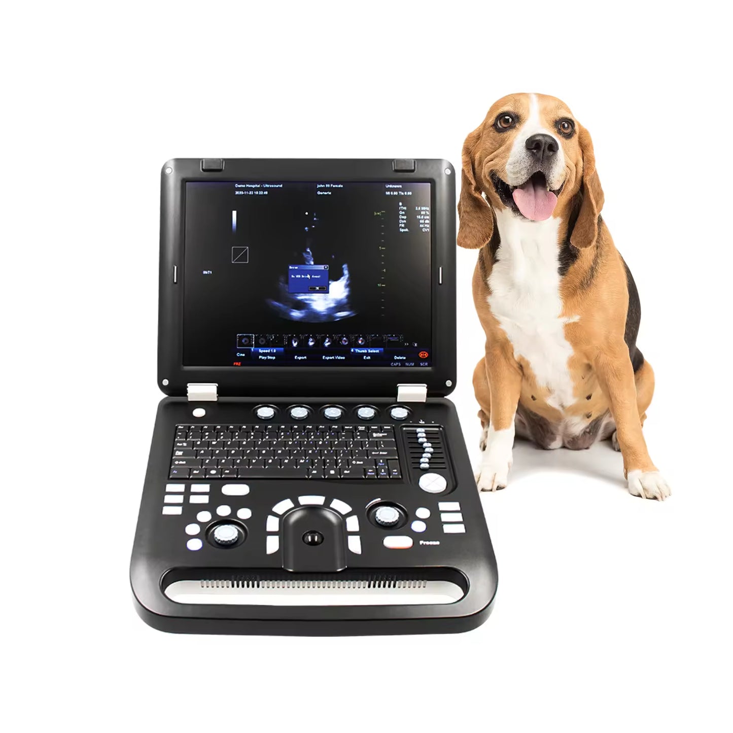 CMS1700C-VET Veterinary Instrument Cheapest Portable Veterinary Ultrasound Machine