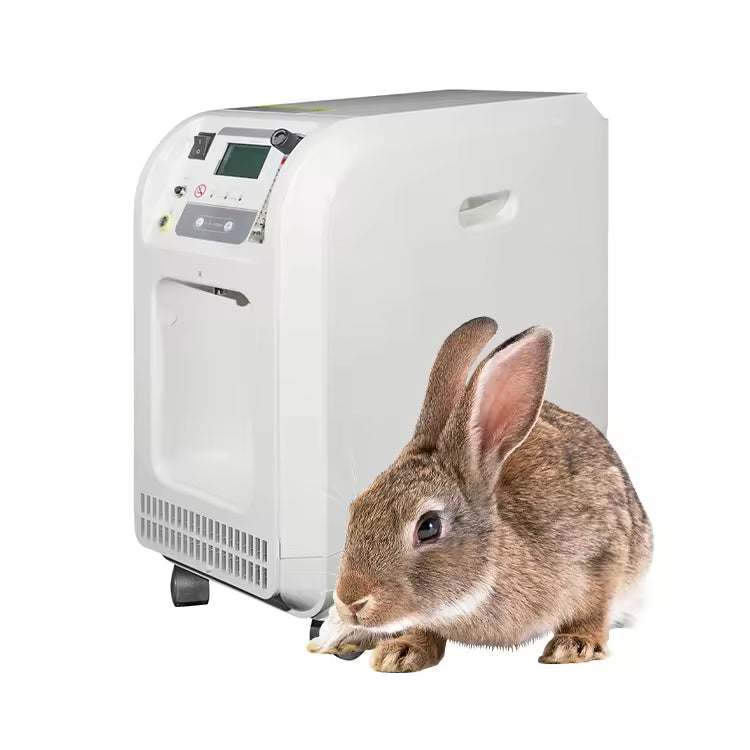 7L 3L 5L 10L Manufacture Veterinary Oxygen Concentrator Veterinary Oxygen Generator