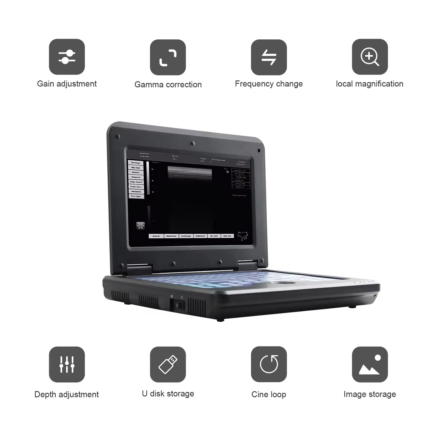 CMS600P2 VET Veterinary Equipment Digital Notebook Ultrasound Scanner for Veterinary