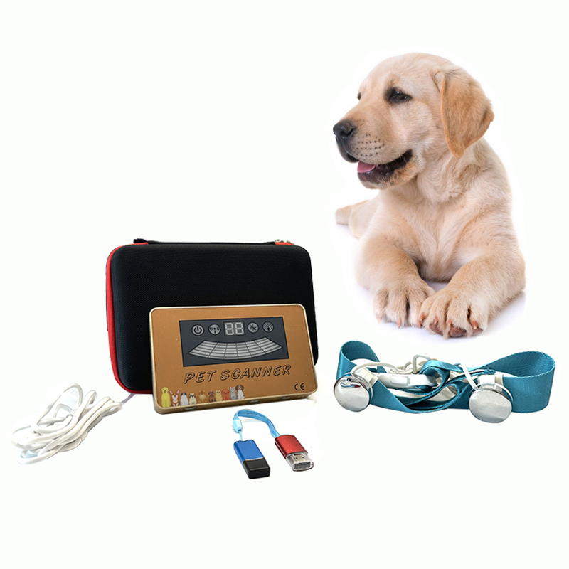 JYTOP Newest PET Quantum Resonance Magnetic Body Health Therapy Analyzer for Animal