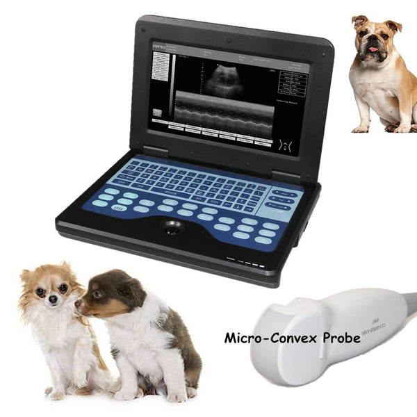 JYTOP Vet Veterinary Ultrasound Scanner micro-Convex small animals CMS600P2-VET free Bag