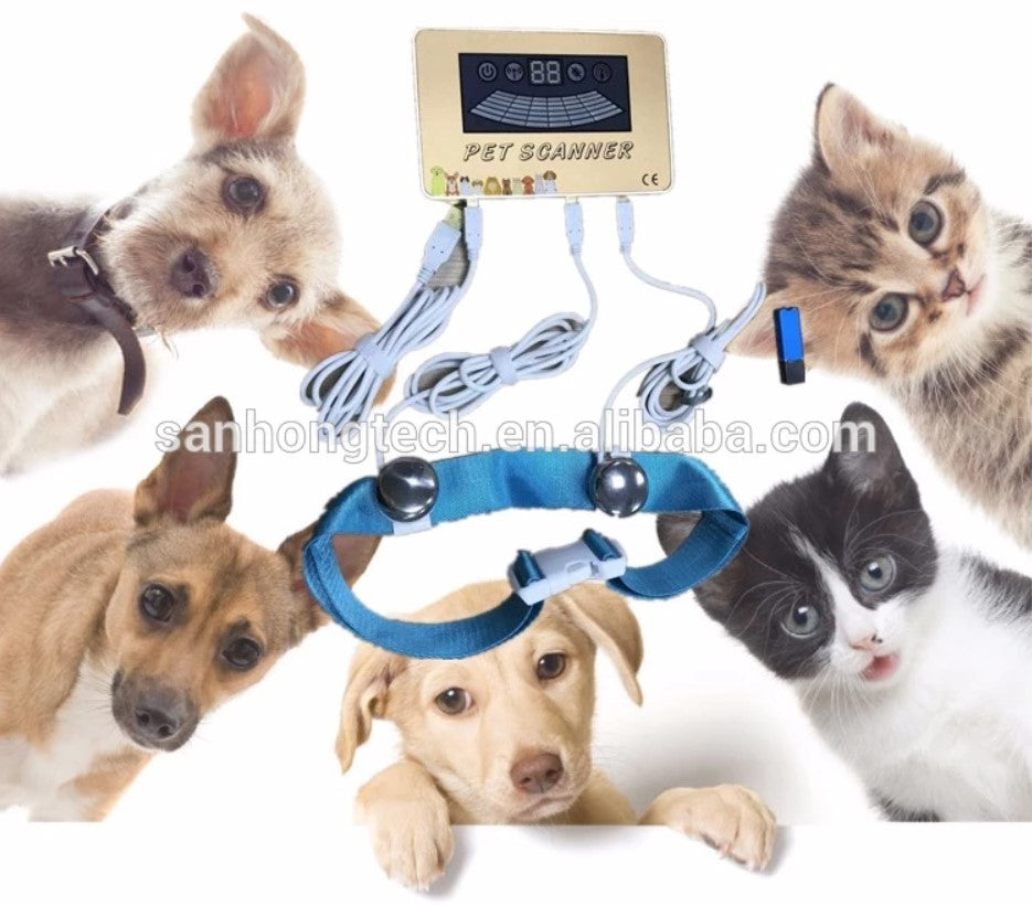 2020 JYTOP Newest PET Quantum Resonance Magnetic Body Health Therapy Analyzer for Animal