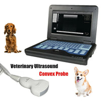 JYTOP CMS600P2-VET Veterinary Laptop B-Ultrasound Scanner small animals 3.5mhz convex probe+bag