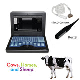 JYTOP CMS600P2VET Veterinary Ultrasound Scanner Laptop Machine,Horse/Cow Rectal and mirco convex 2 probes