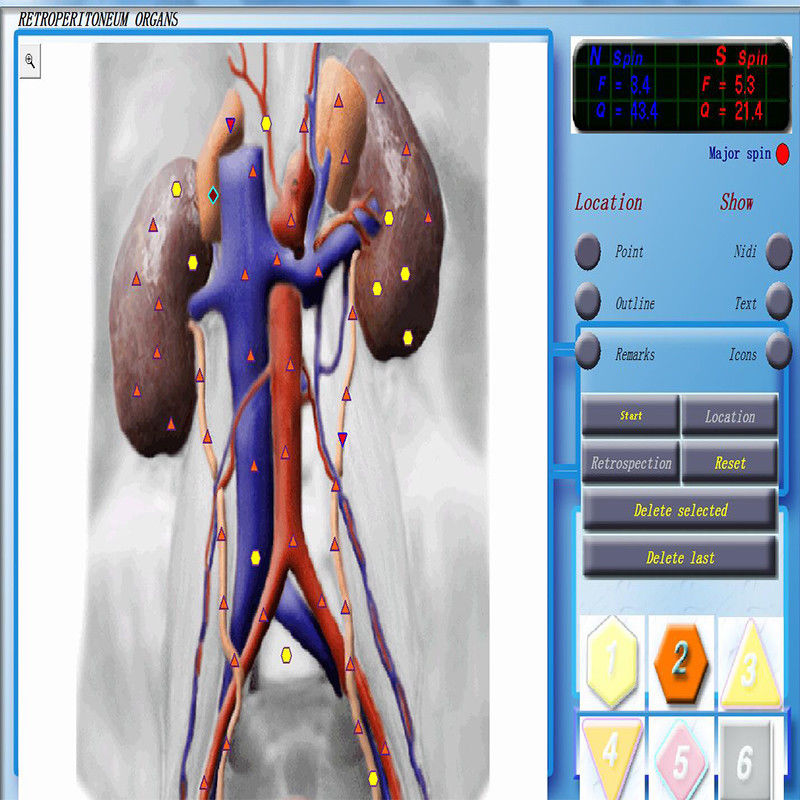 JYtop Bioresonance Therapy Device 3D NLS Health Analyzer Equipment 3D NLS Analyzer with Original Software