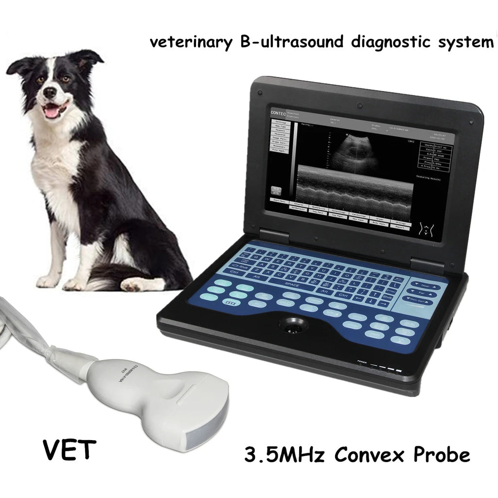 JYTOP VET Veterinary Ultrasound Scanner Laptop Machine+animal CMS600P2VET convex Probe