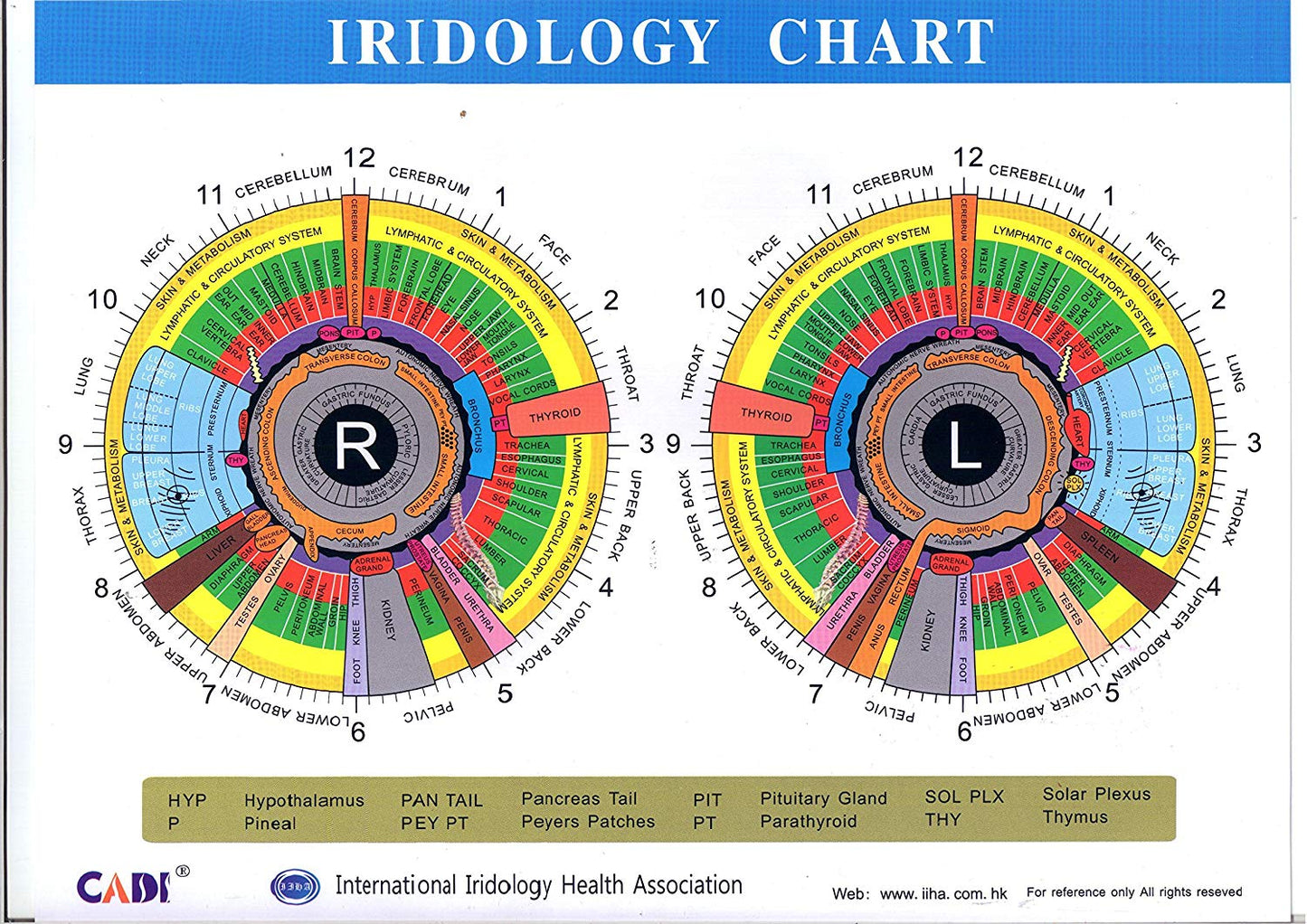 Free shipping!!! JYTOP 500 MP 4 LED /2 LED DigitaI Iriscope Iridology USB camera Iris analyzer EH660U