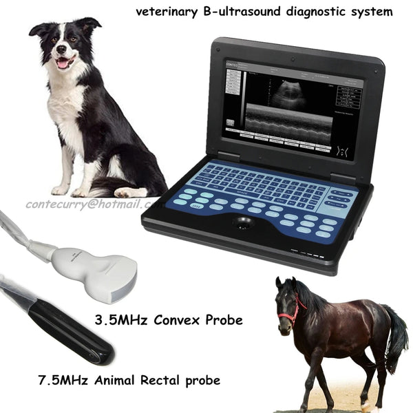 JYTOP VET Veterinary Ultrasound Scanner Laptop Machine+animal Rectal+convex 2 Probes CMS600P2VET