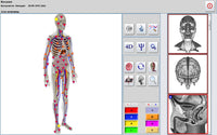 JYtop 2019 New Non-linear analysis system bio-resonance 9DNLS body health analyzer with massage helmet White