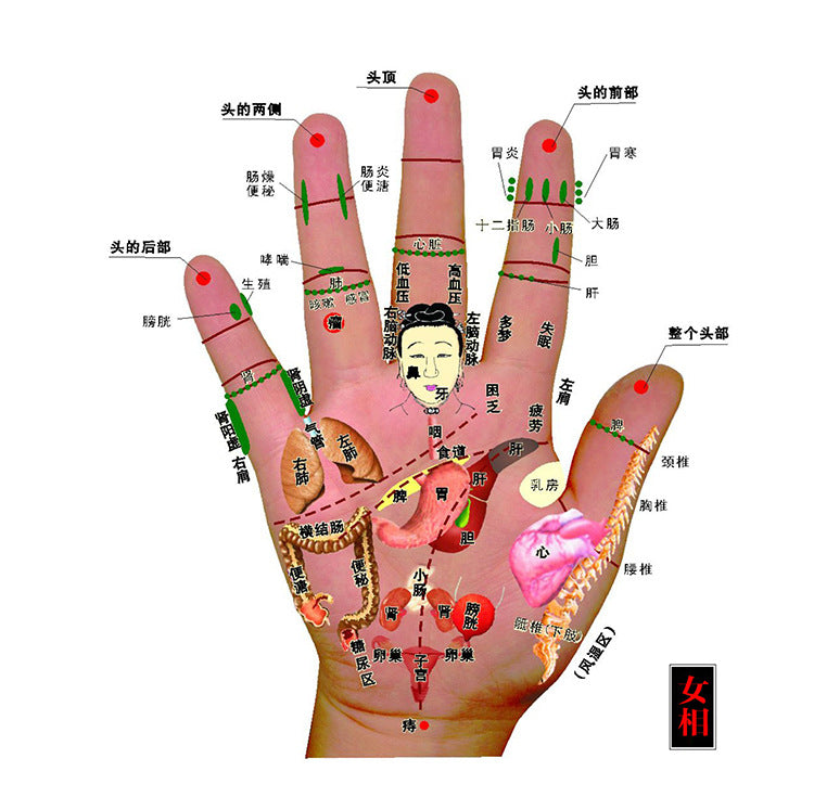 JYtop Chinese meridian Expert Analyzer Acupuncture health analysis/ detector system/Hand Acupoints Therapy Device,Hand Diagnosis Syste